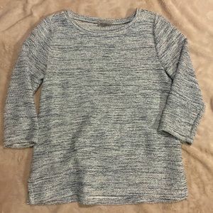 Ann Taylor LOFT Blue/White Marled Sweater